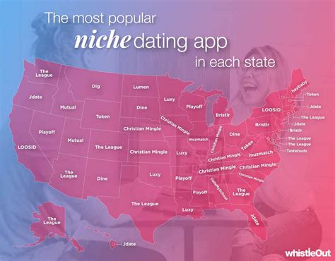 what is a niche dating site